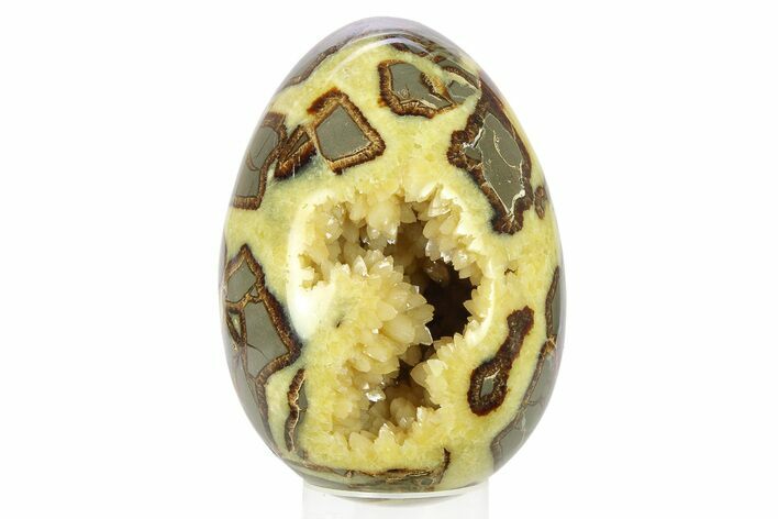 Calcite Crystal Filled Septarian Geode Egg - Utah #288950